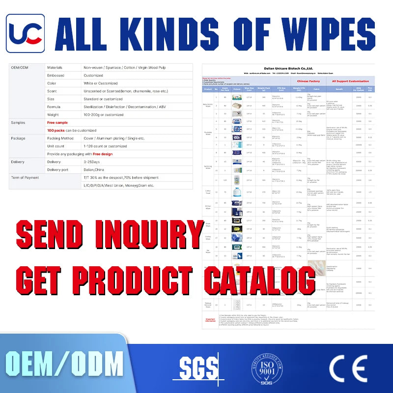 Pet Wipes Hot Sale Private Logo Manufacturer Portable Soft Cat Dog Pet Eyes Paws Cleaning Wet Wipes Supplies Pet Products